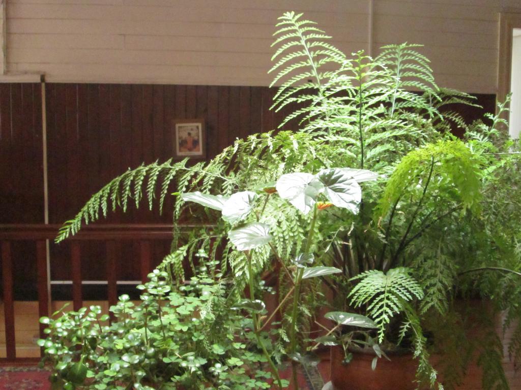 פוארטו מונט Hostal Patrimonial Angelmo מראה חיצוני תמונה